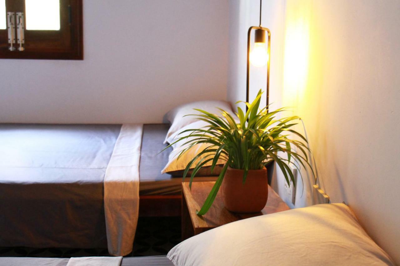 טוי הואה Quynh'S Homestay מראה חיצוני תמונה
