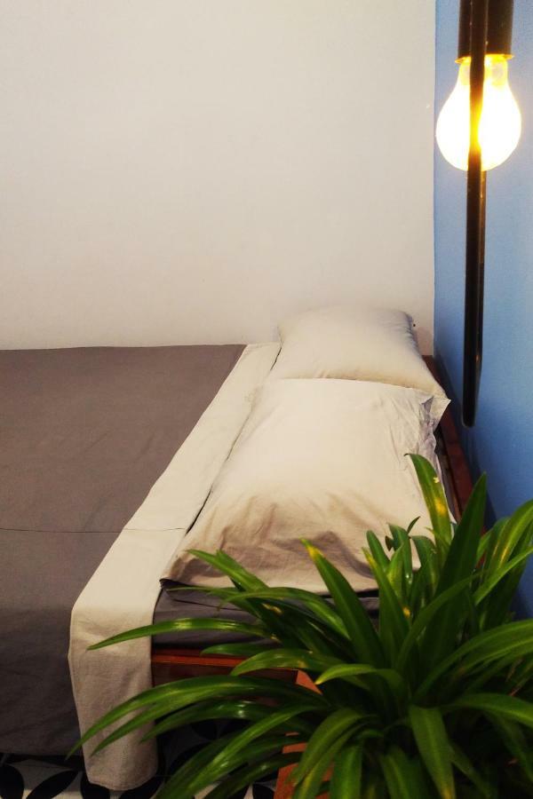 טוי הואה Quynh'S Homestay מראה חיצוני תמונה